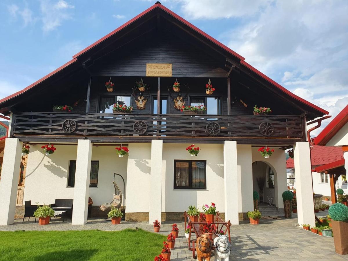 Casa Alexandru - Locul In Care Te Simti Acasa Hotel Viseu de Jos Exterior photo